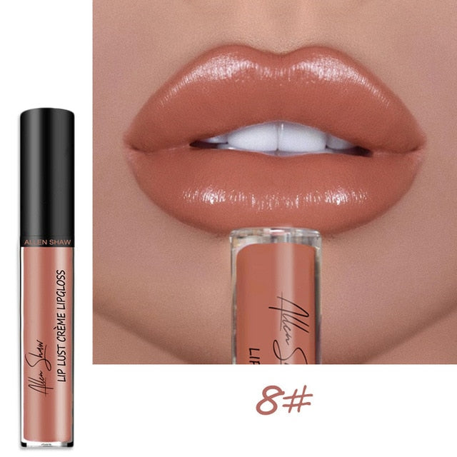 Shiny Matte Liquid Lip Gloss