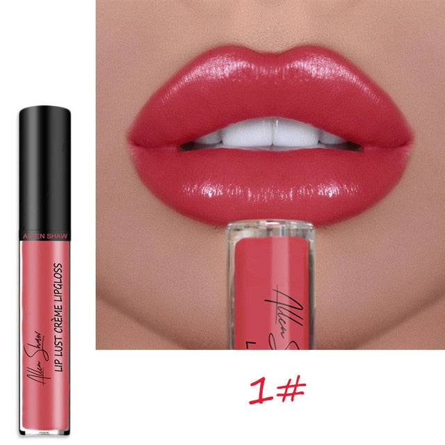 Shiny Matte Liquid Lip Gloss