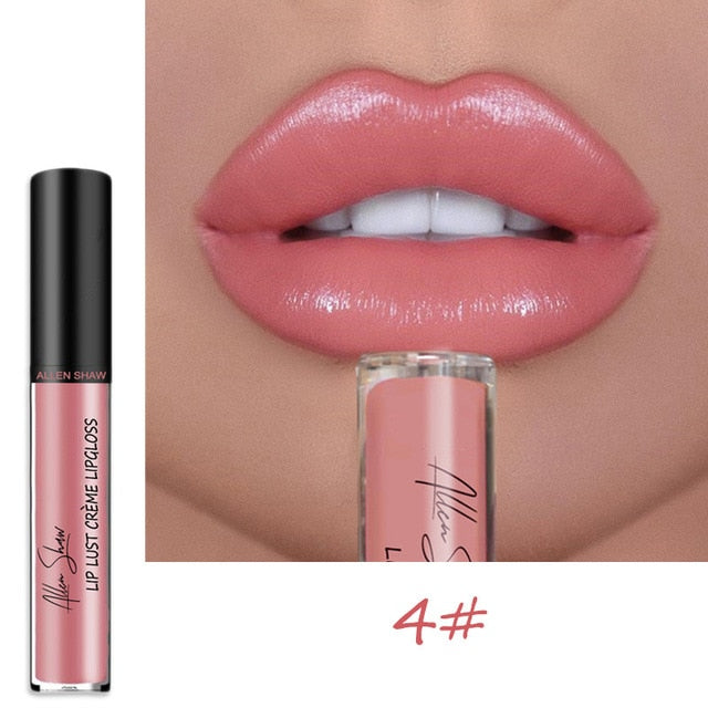 Shiny Matte Liquid Lip Gloss