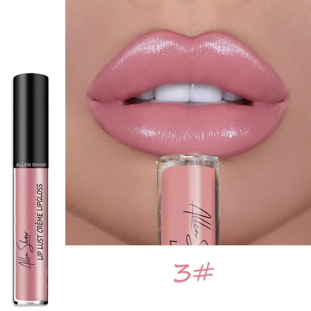 Shiny Matte Liquid Lip Gloss