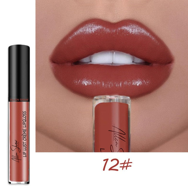 Shiny Matte Liquid Lip Gloss