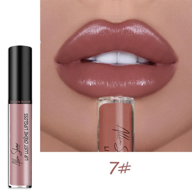 Shiny Matte Liquid Lip Gloss