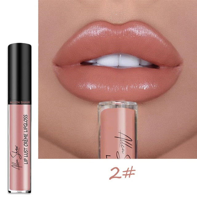 Shiny Matte Liquid Lip Gloss