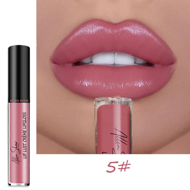Shiny Matte Liquid Lip Gloss