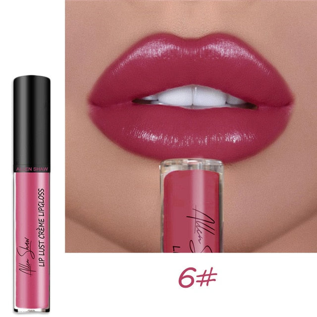 Shiny Matte Liquid Lip Gloss