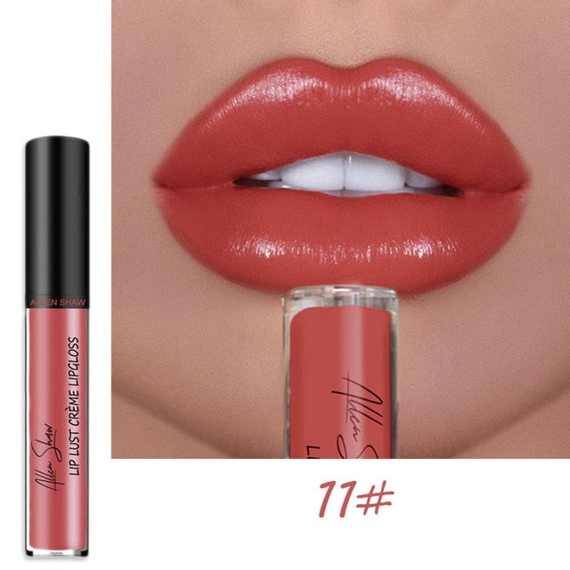 Shiny Matte Liquid Lip Gloss