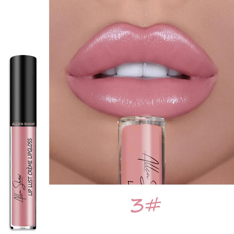 Shiny Matte Liquid Lip Gloss