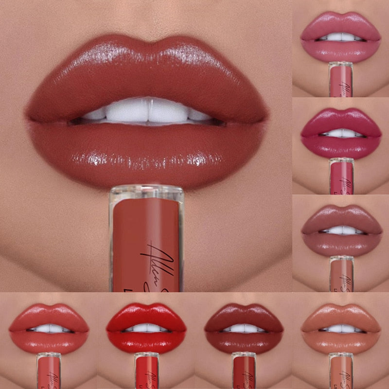 Shiny Matte Liquid Lip Gloss
