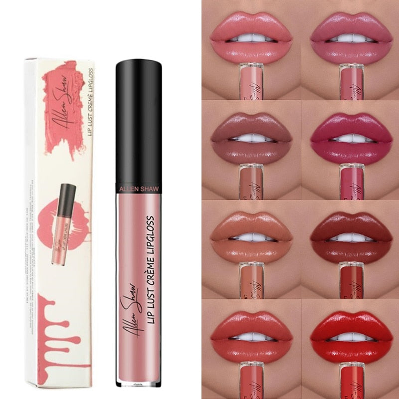 Shiny Matte Liquid Lip Gloss