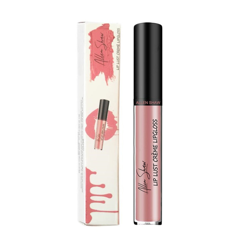 Shiny Matte Liquid Lip Gloss