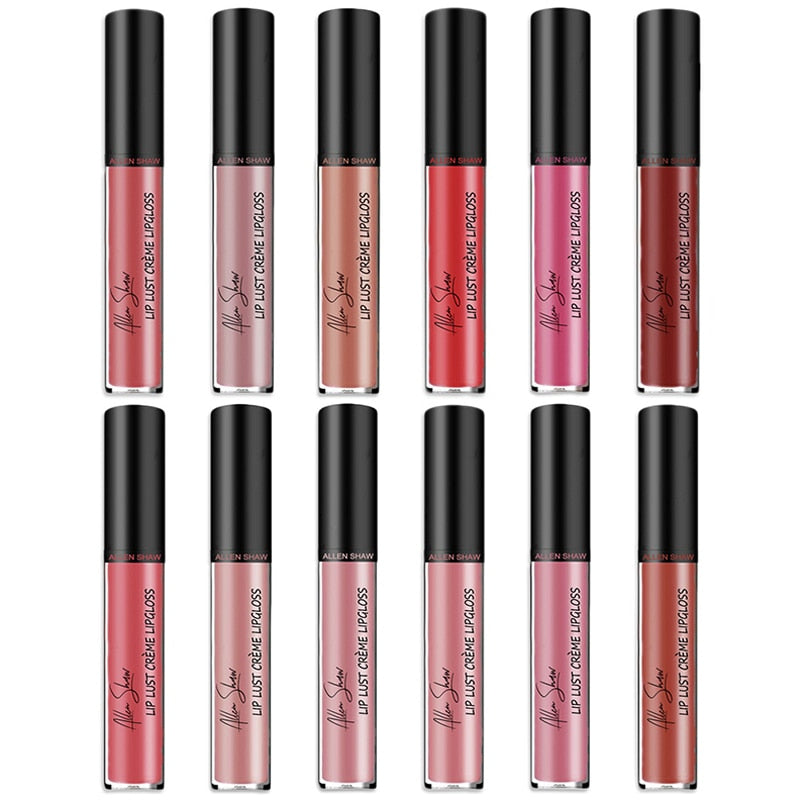 Shiny Matte Liquid Lip Gloss